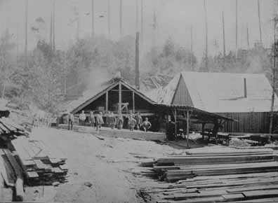 Rosa's mill