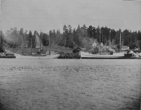NB mill