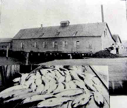 cannery